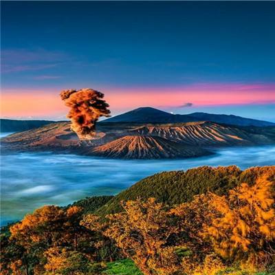 八游互娱app下载